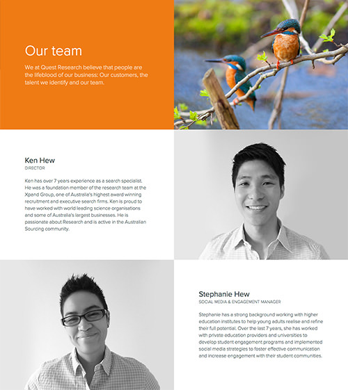 team section design